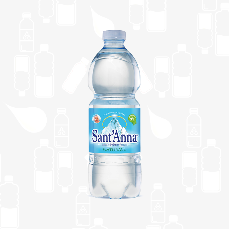 Sant'Anna Natural Mineral Water - 6 Pack - 16.9 Fl Oz- Made in Italy